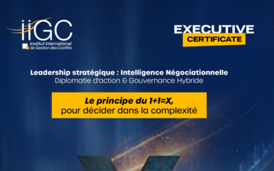 Exécutive strategique