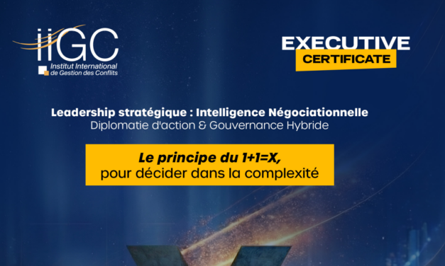 Exécutive strategique